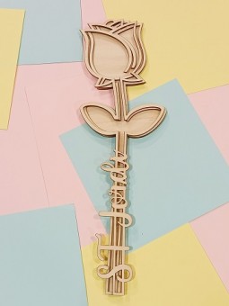 Shaker Rosa Sant Jordi