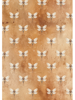 copy of Papel de arroz -...